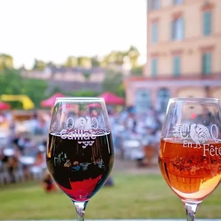 Vakantiehuis O Loft - 3 Avec 3 Salles De Bains - Parking - Climatisation Albi